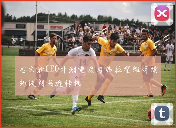 尤文新CEO计划重启与弗拉霍维奇续约谈判或迎转机