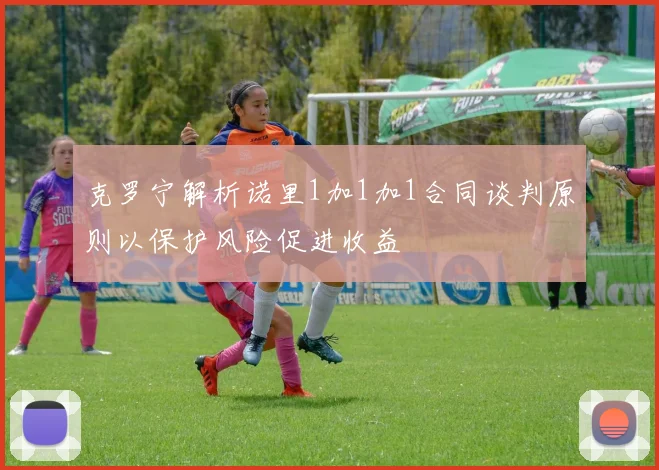 克罗宁解析诺里1加1加1合同谈判原则以保护风险促进收益